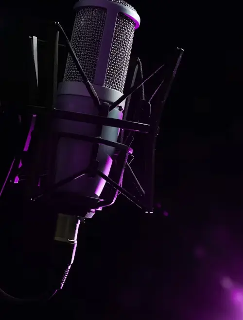 Placeholder dubbing studio
